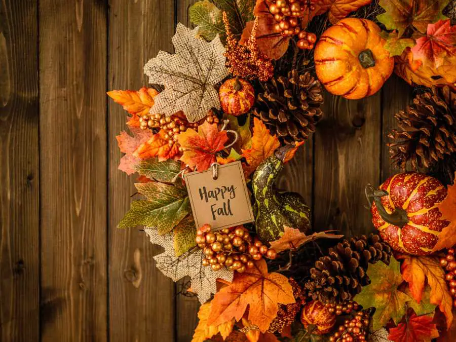 moss-and-pumpkin-wreath
