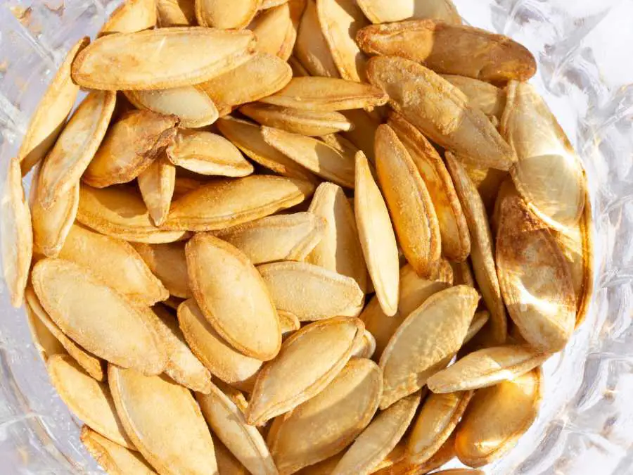 pumpkin-seed-reasted-salted