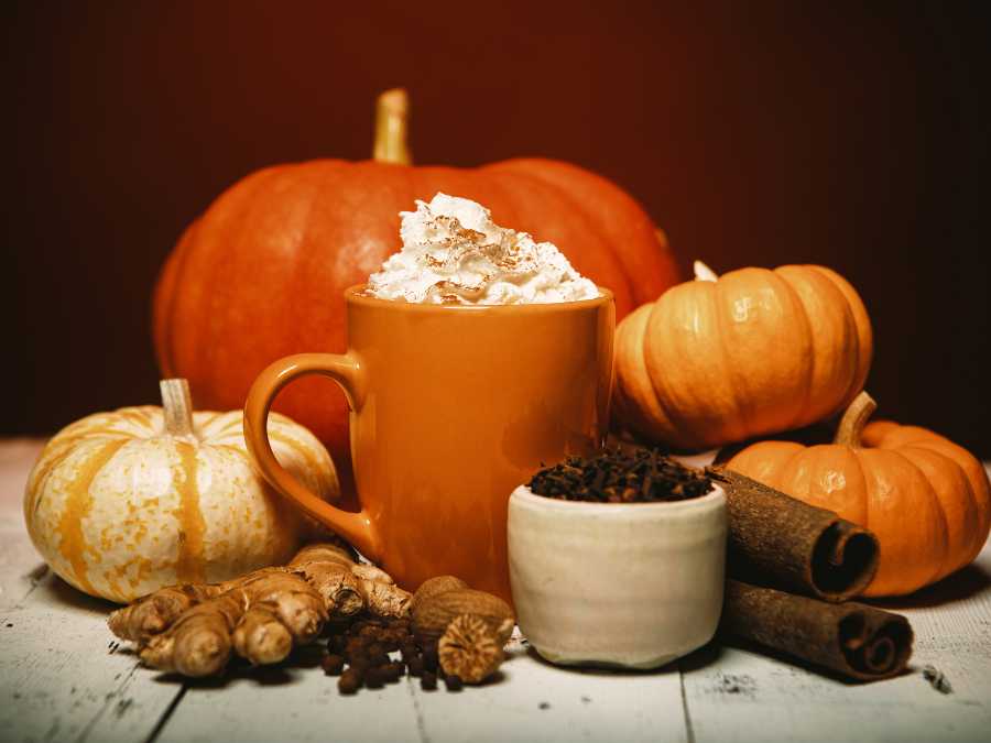 pumpkin-spice-seasonal-drink-halloween-party-ideas