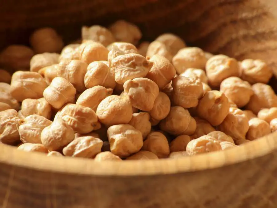roasted-soy-nuts-delicious-high-protein-snacks