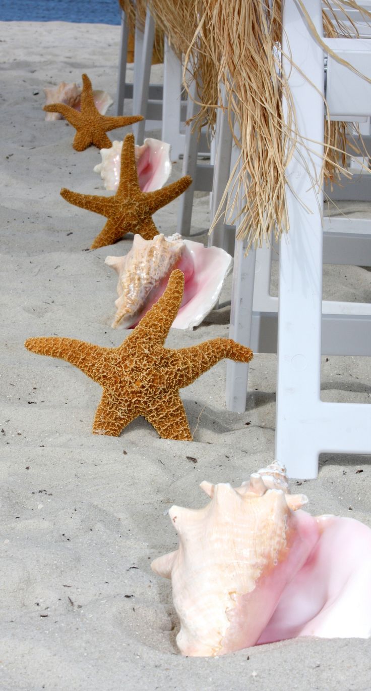 seashell-driftwood-accents-wedding-aisle-decor-ideas