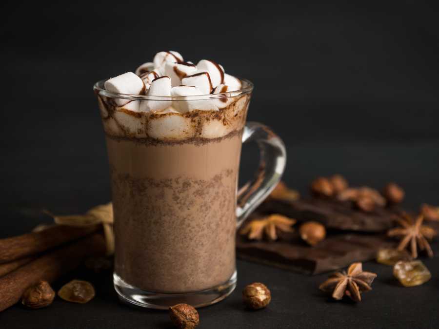 toasted-marshmallow-hot-chocolate