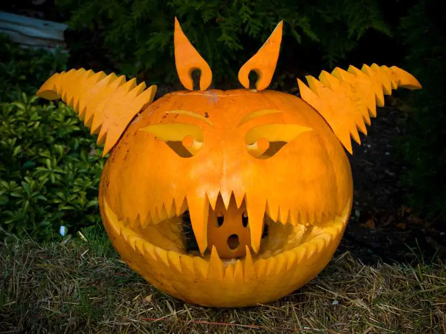 vampire-unique-halloween-carving-ideas