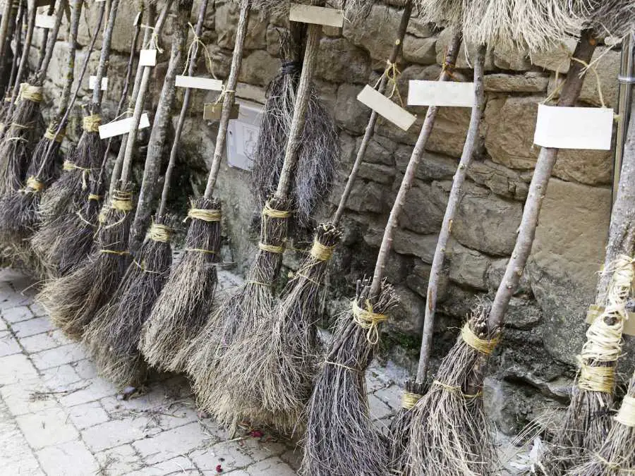 witchs-broom-parking