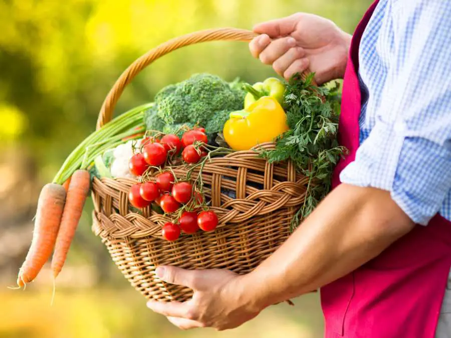 garden-harvest-dinner