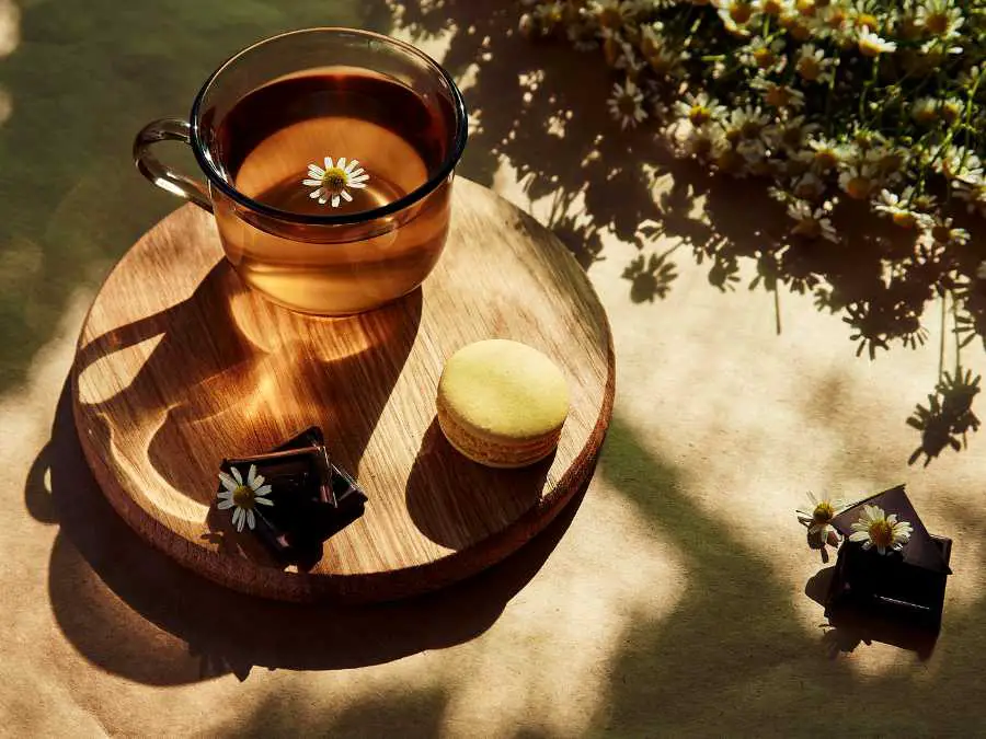 harbal-iced-tea-using-garden-herb