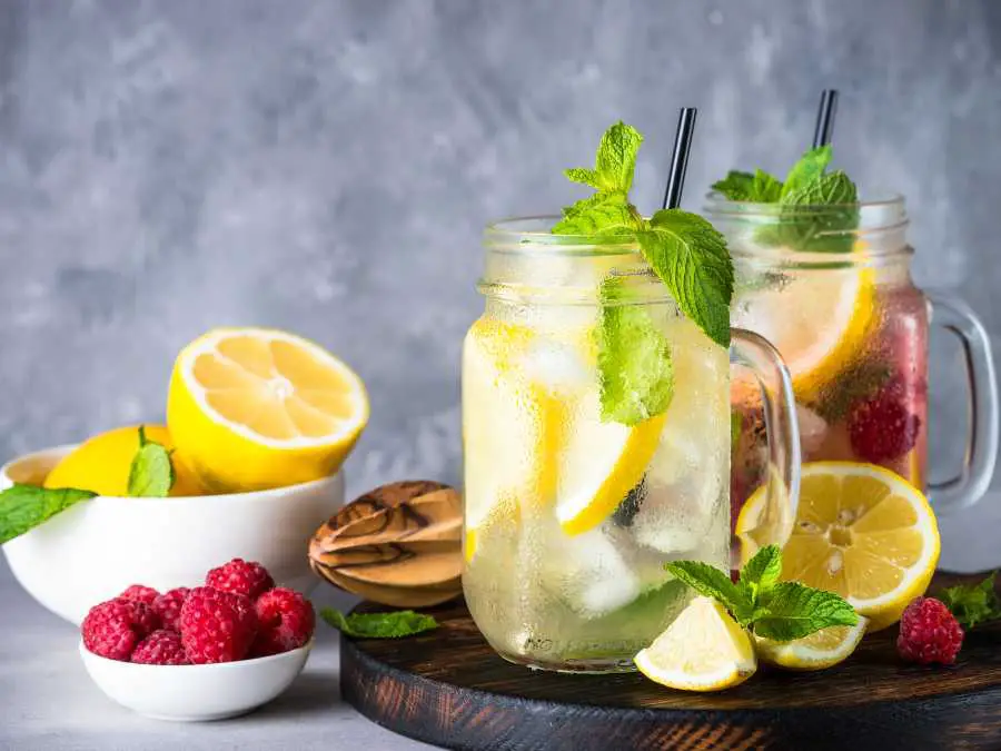 homemade-lemonade-with-citrus-labor-day-zero-waste-picnic-recipes-ideas