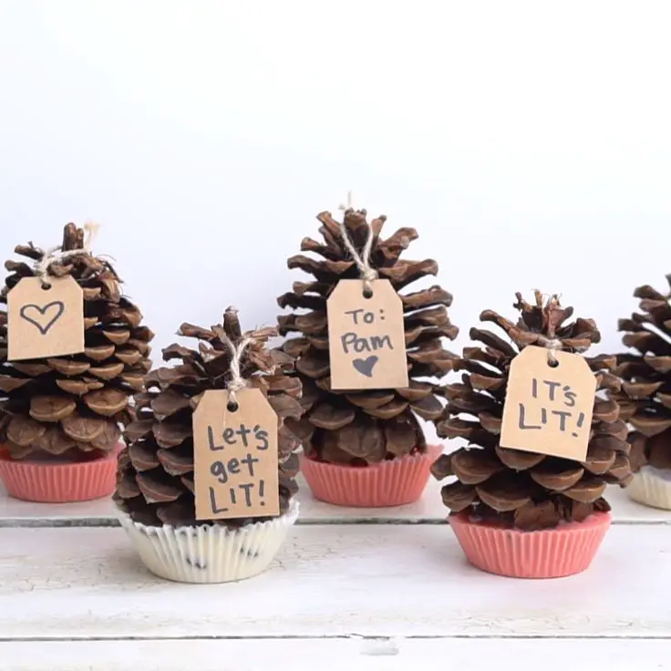 pinecone-fire-starters-fall-craft-with-pinecone-for-kids-and-adult