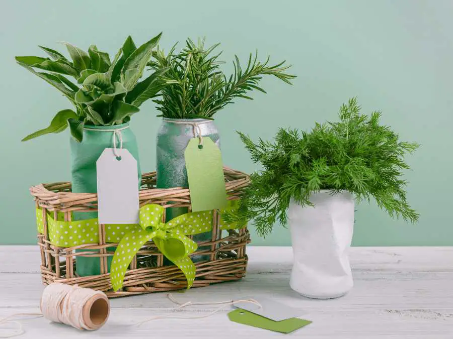 repurpose-household-items-for-decor