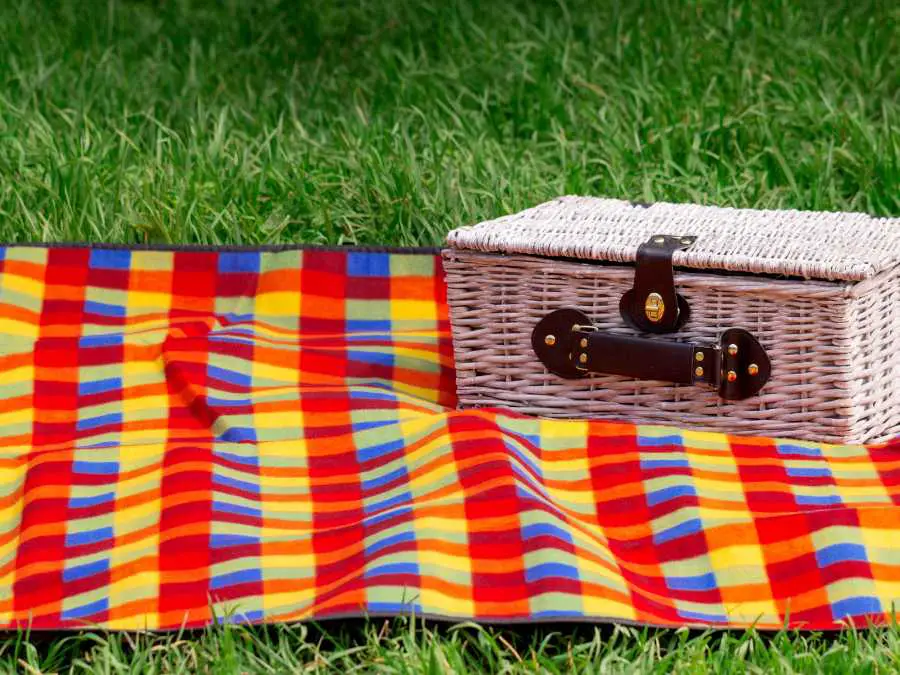 picnic-basket