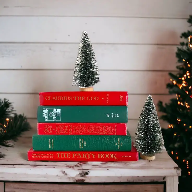 books-as-decor-color-block-your-shelves-christmas-decor-hacks-for-small-apartment