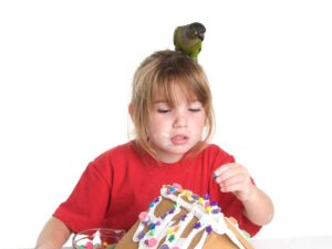 25+ Creative Gingerbread House Ideas for Beginners - padebby