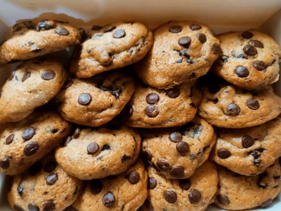 chocolate-chips-cookies-delicious-christmas-cookies