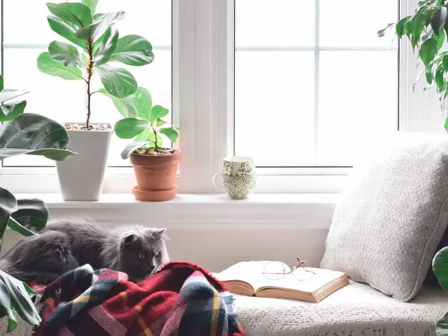 cozy-reading-nook-with-holiday-touches