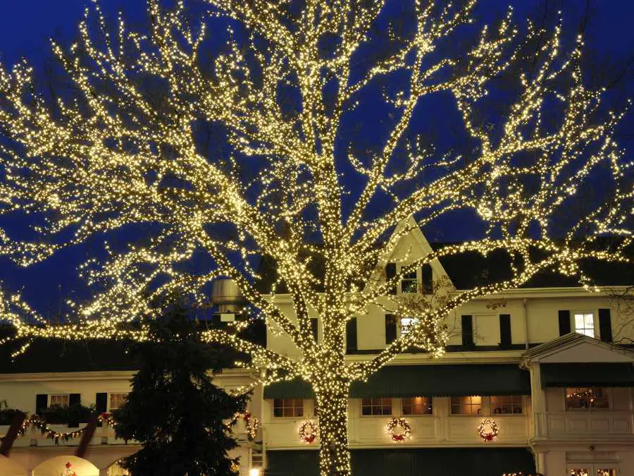 creative-tree-lighting-alternatives