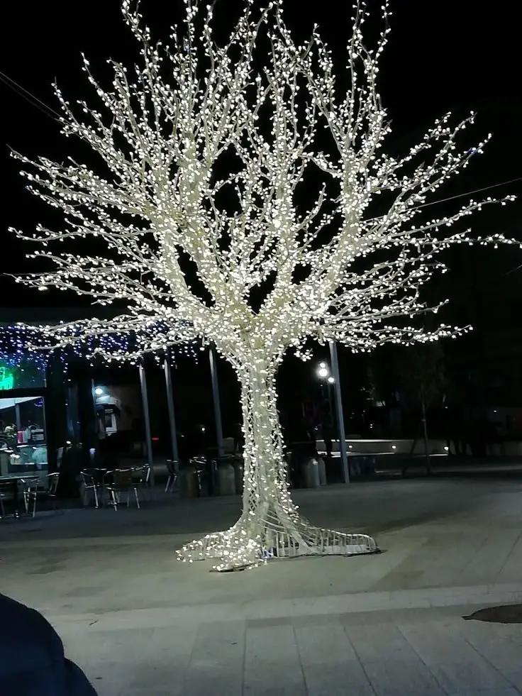 deciduous-tree-winter-lighting