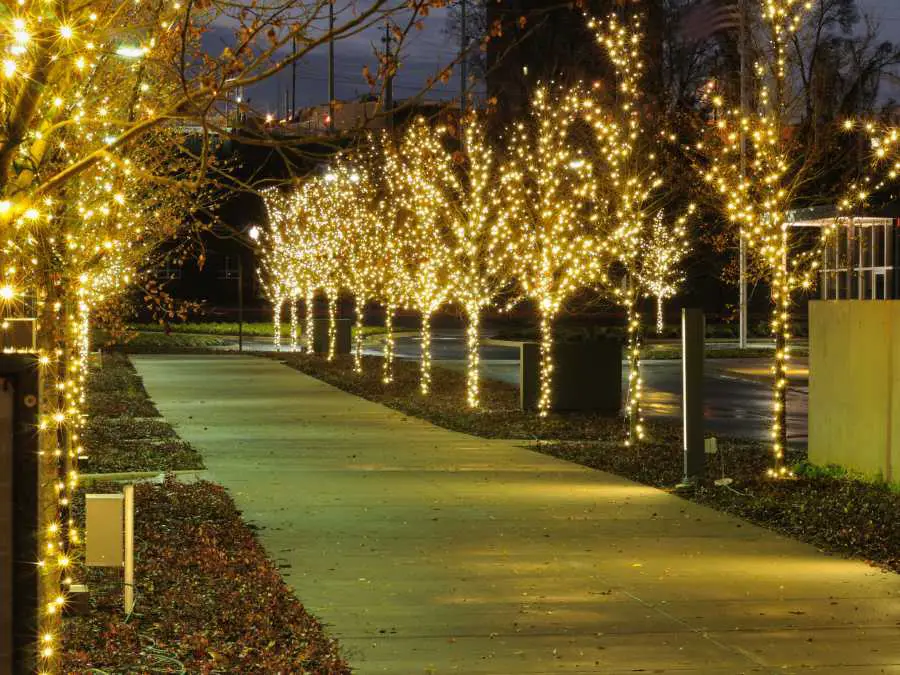 professional-tree-lighting-technique-christmas-light-decorating-ideas