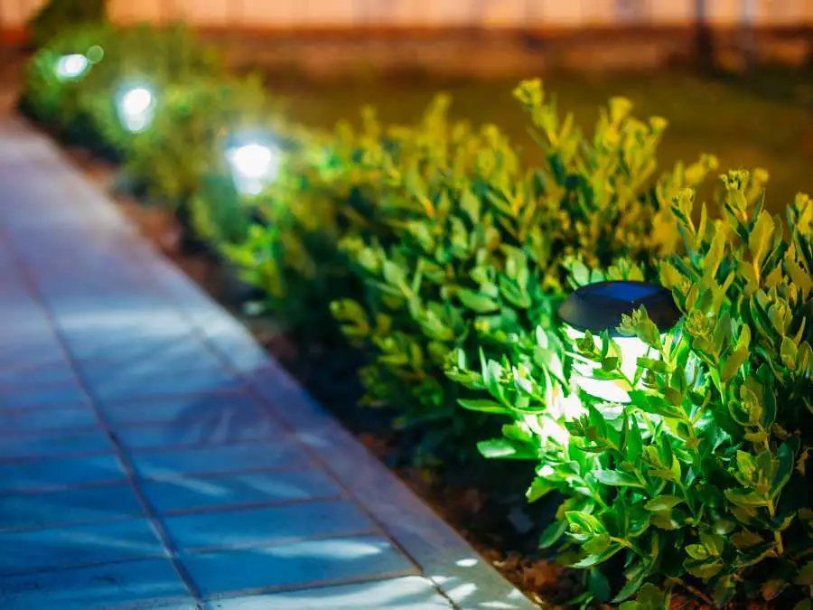 shrub-and-garden-bed-illumination-christmas-light-decorating-ideas