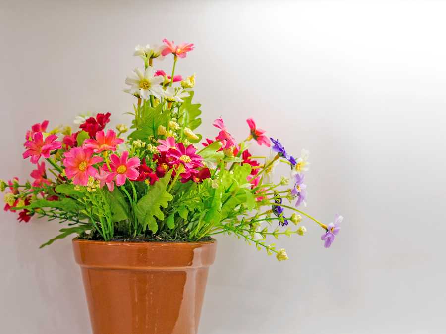 spring-celebration-focus