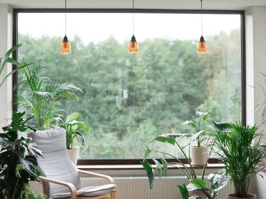 add-fresh-greenery-new-year-home-refresh-ideas