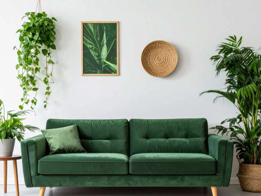 add-plant-for-beter-quality