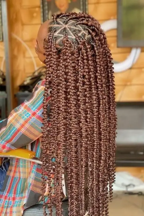 butterfly-braid-ideas