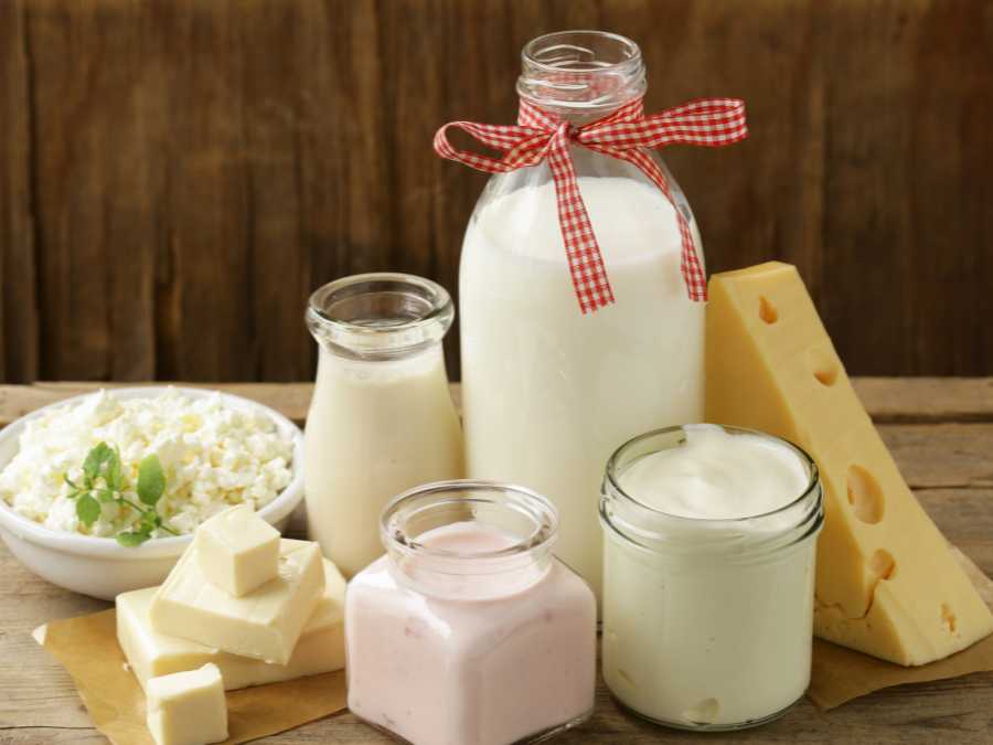 dairy-or-altternative-calcium-and-protein-kids-lunch-box