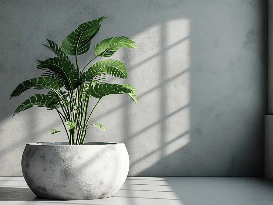 invest-in-one-statement-piece-new-year-home-refesh-ideas