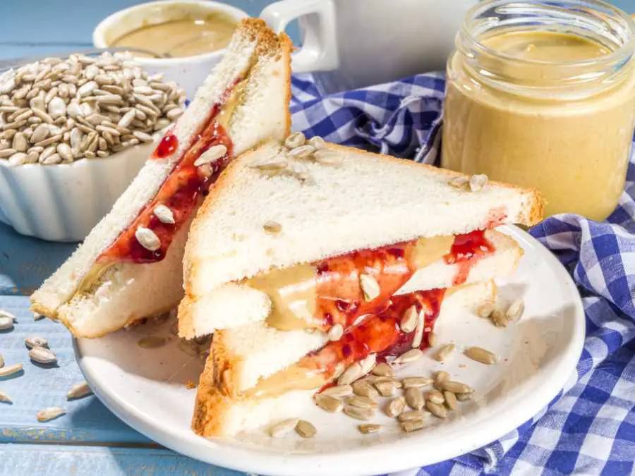 sunflower-seed-butter-sandwich