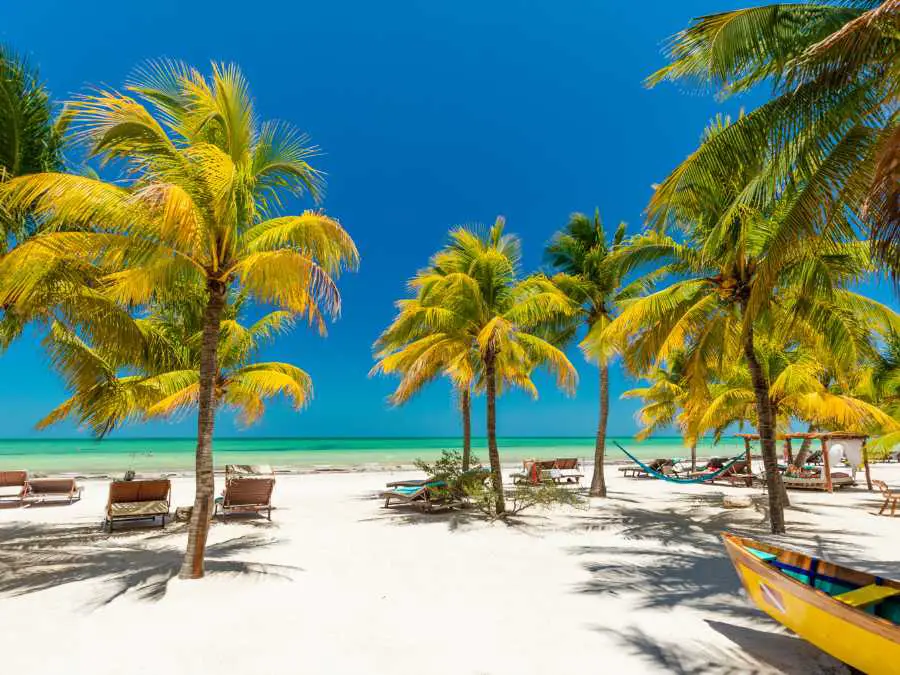 tropical-paradise-template