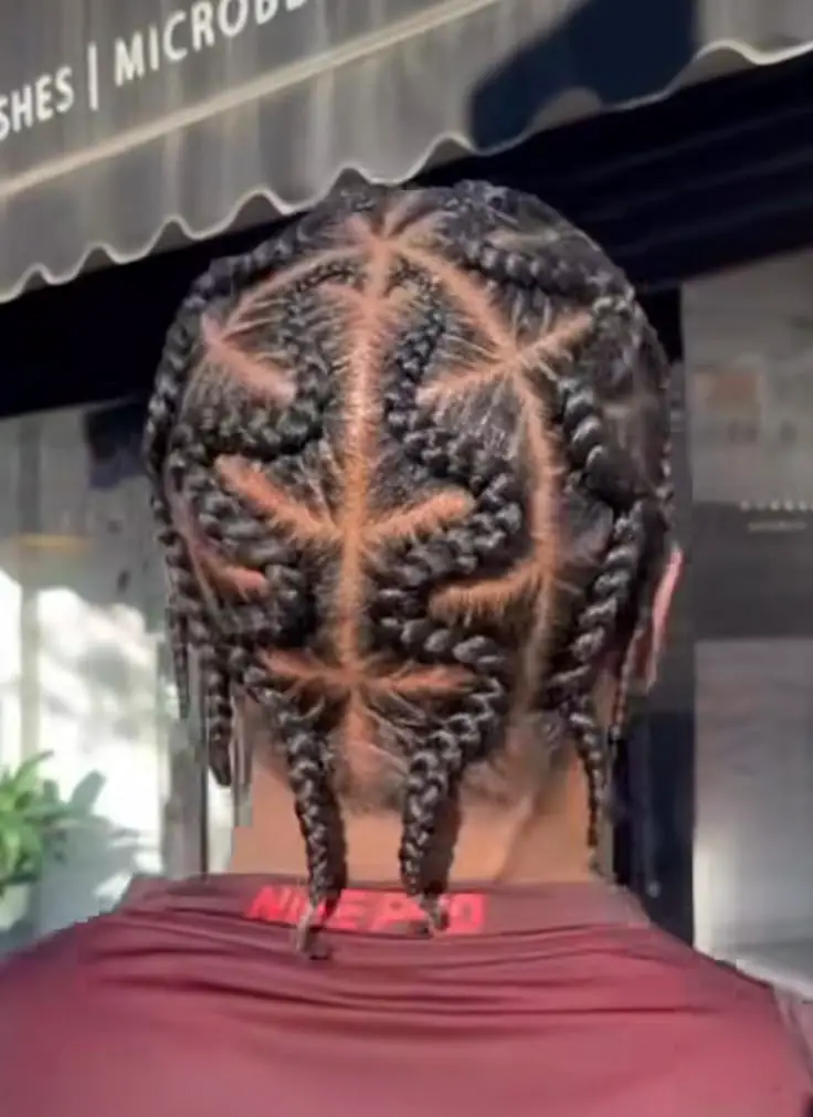 zigzag-tree-braid