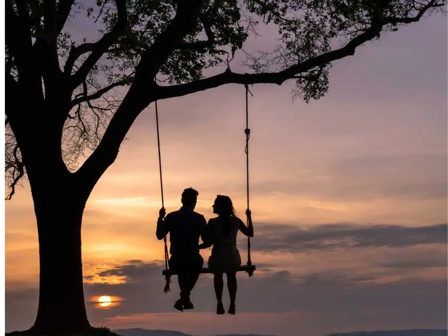 bare-tree-silhouette-shot