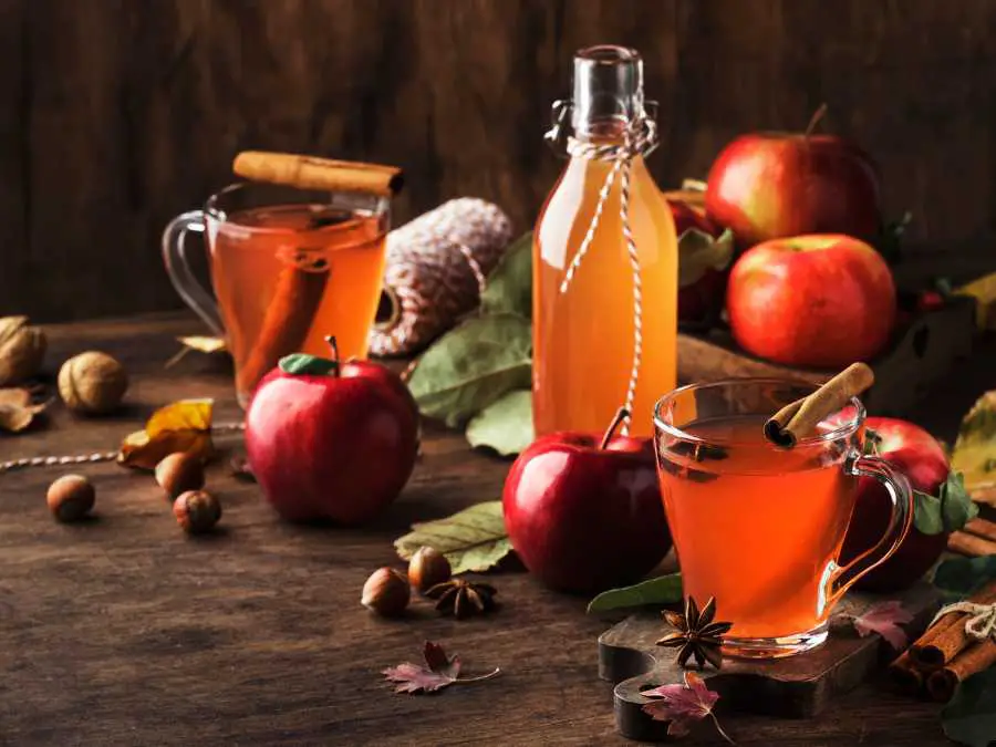 glorious-hot-mulled-cidercozy-comforting-winter-recipe