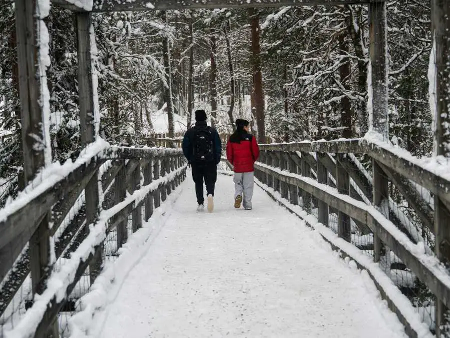 snowy-bringe-or-pathway
