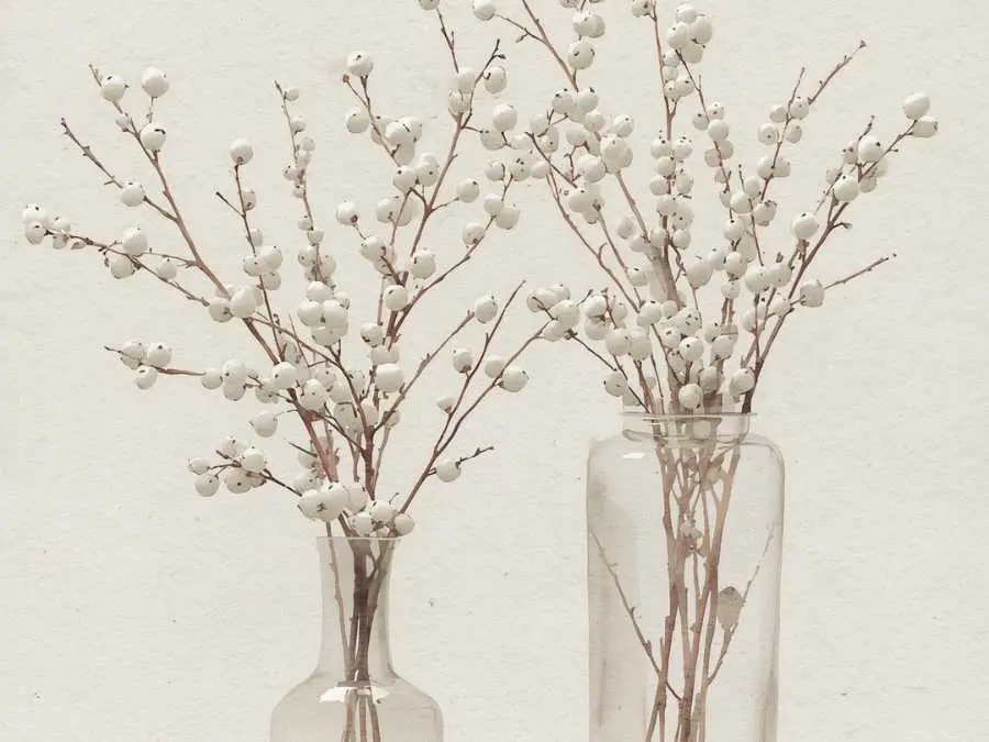 white-berry-branches-in-tall-vases