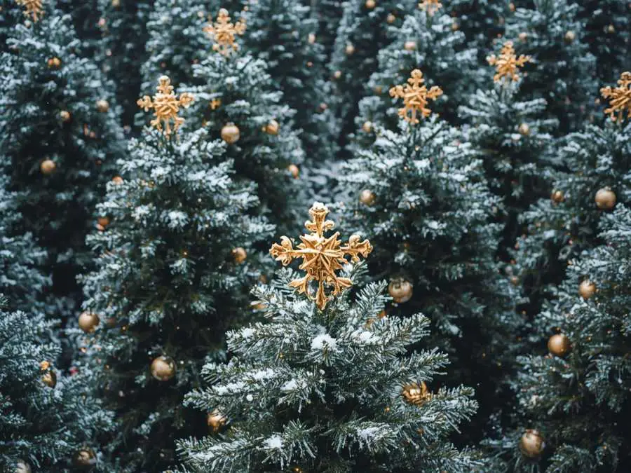 gold-tree-toppers-on-green-trees