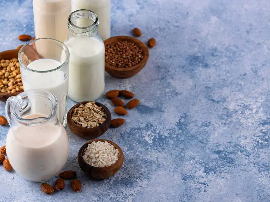 intoduces-new-flavour-dairy-free-christmas-treat-ideas