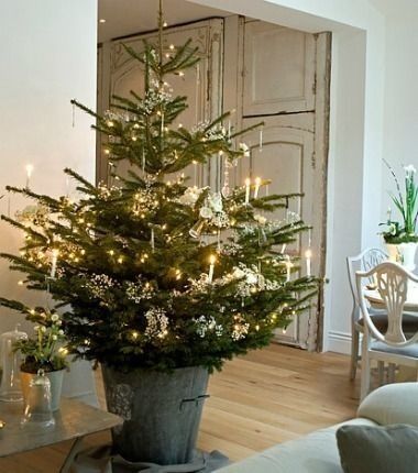 small-christmas-tree-in-metal-pails