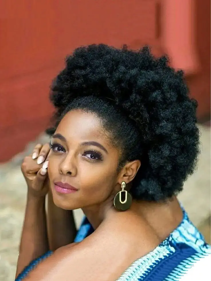 afro-puff-bun-creative-4c-hair-updo-style