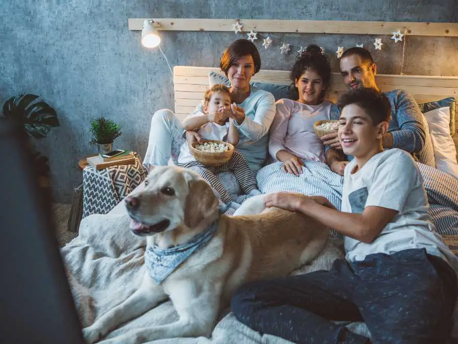 embrace-easy-entertainment