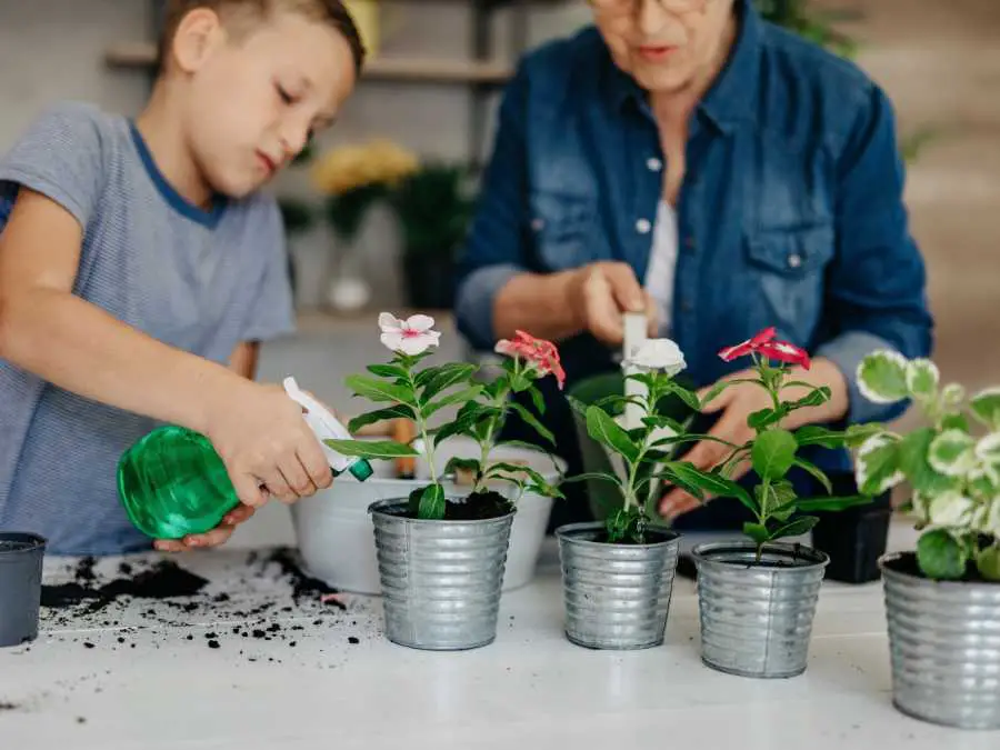 let-kids-help-more-solo-parenting-survial-guide