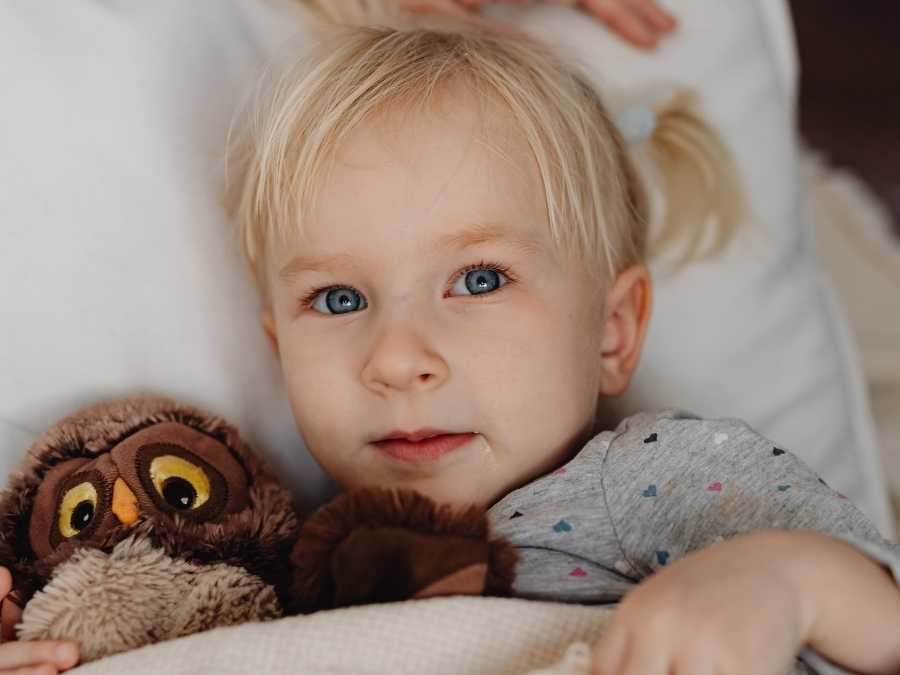 use-a-comfort-object-ways-to-keep-your-toddler-in-bed-at night