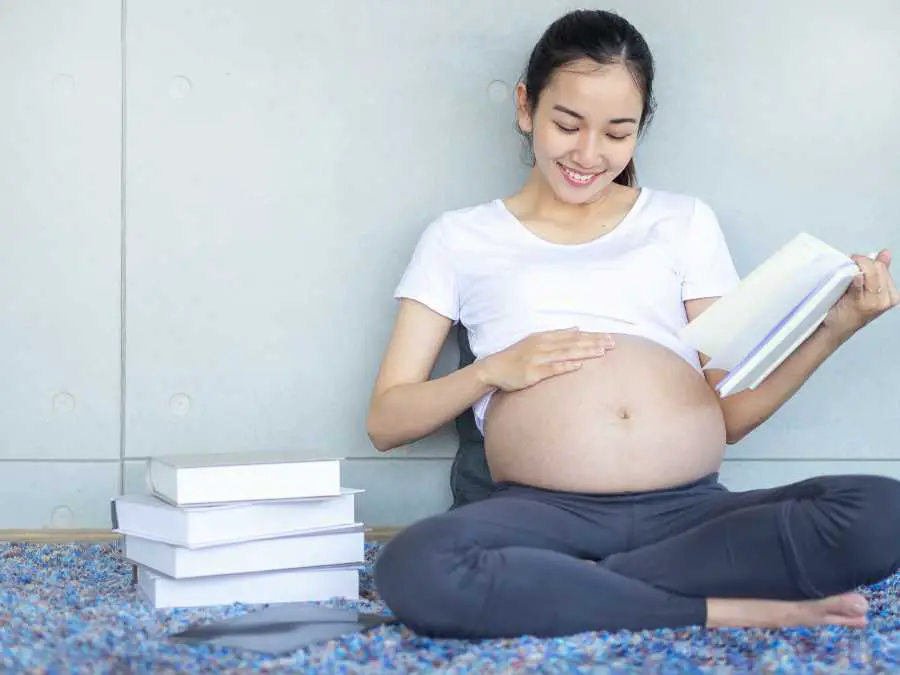 a-pregnancy-journal-first-trimester-essential