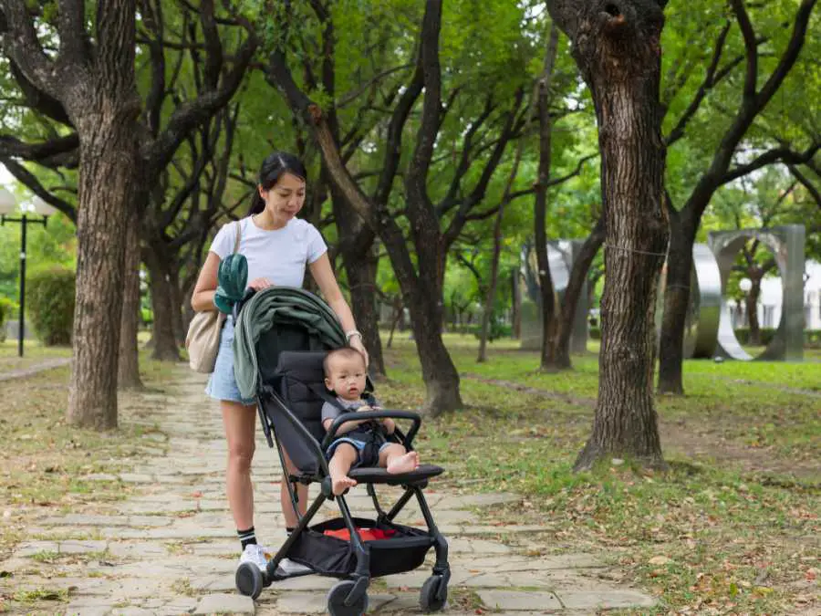 baby-carrier-or-stroller-newborn-first-holiday-checklist