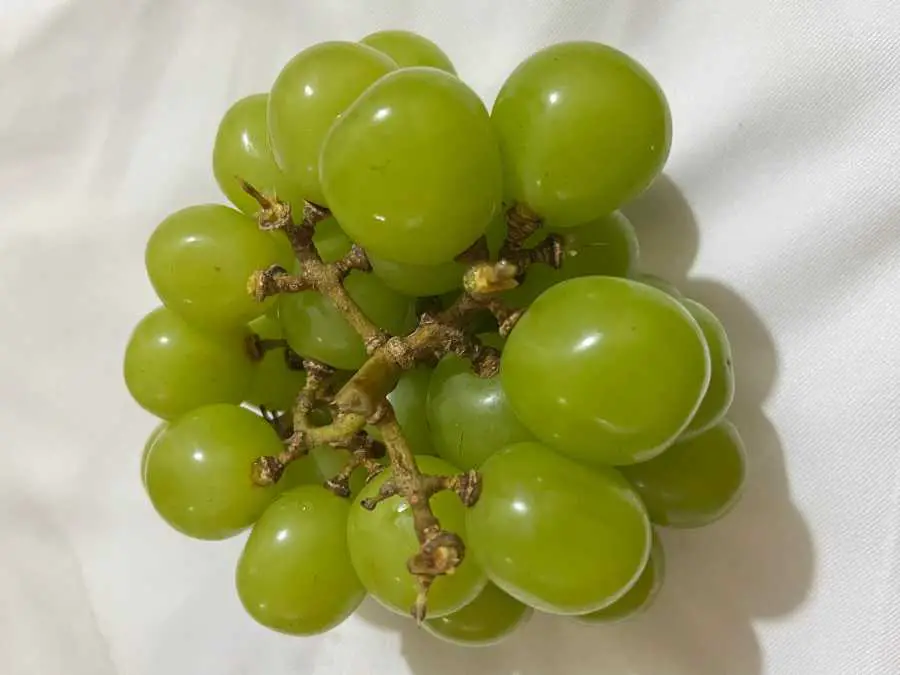 green-grapes