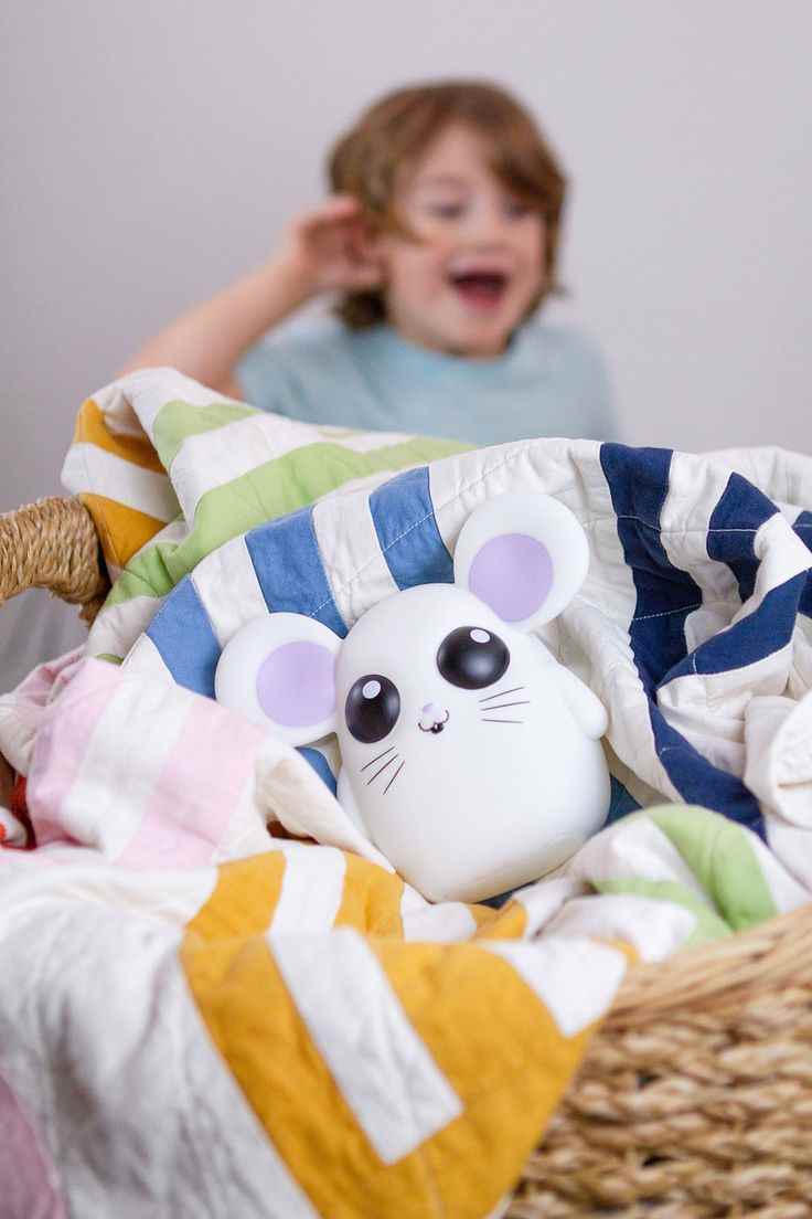 hide-and-seek-with-toys