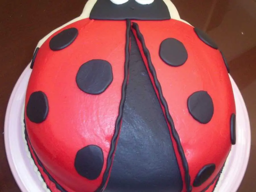 Ladybug-Luck-Cakelecky-charm-cake
