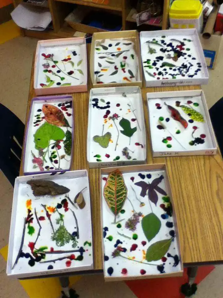 Nature-collection-and display-creative-90s-inspired-kids-activities