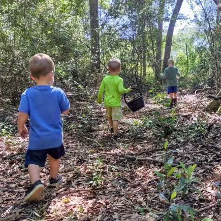 nature-walk-creative-screen-free-activities-for-toddlers