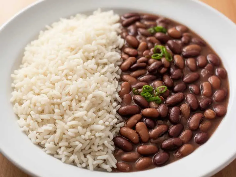 rice-and-beans-kept-separate